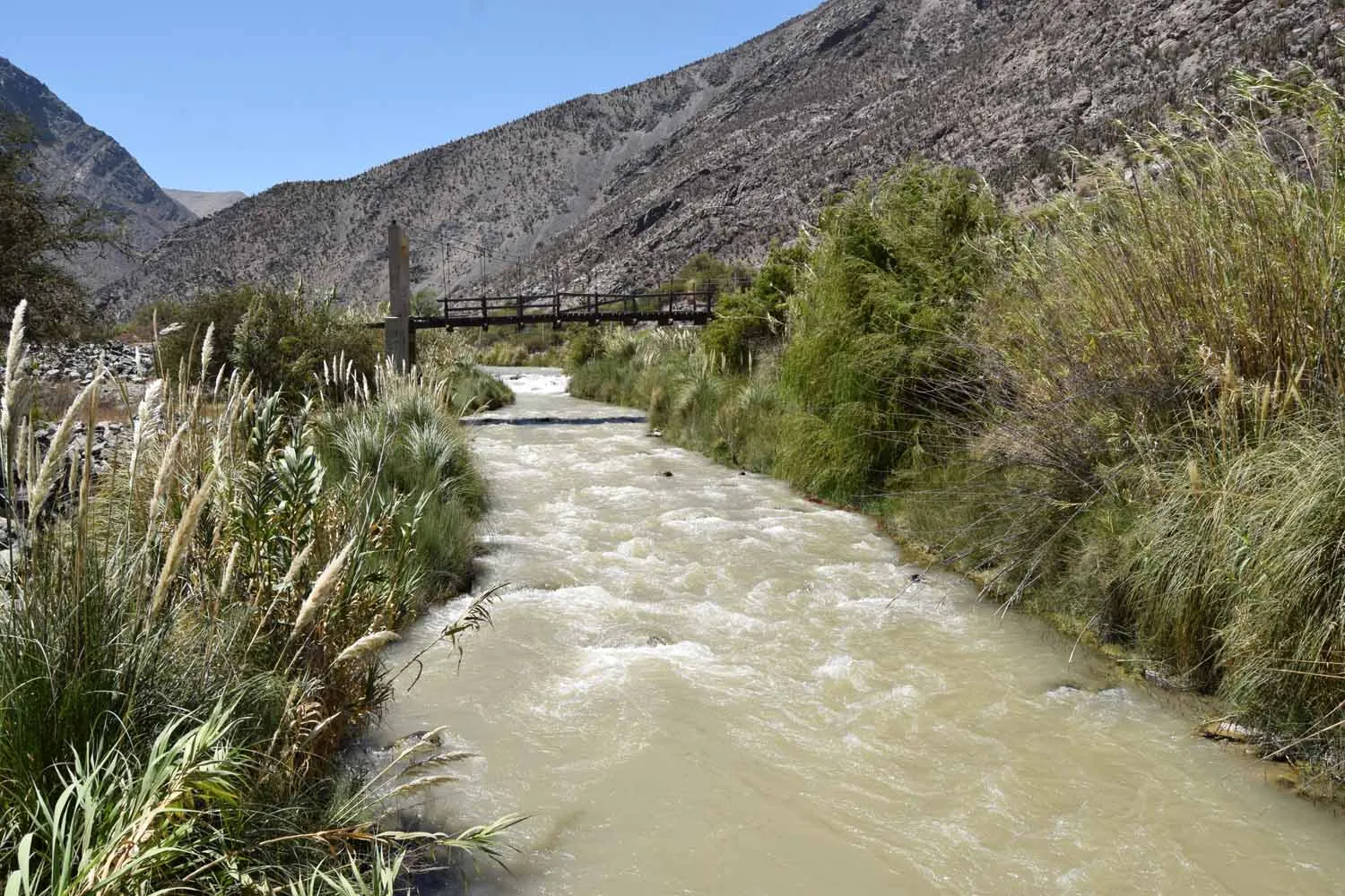 río Elqui cerca de Rivadavia